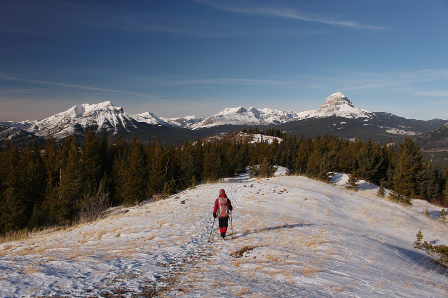 Might as well make good use of the mountain biking trail!