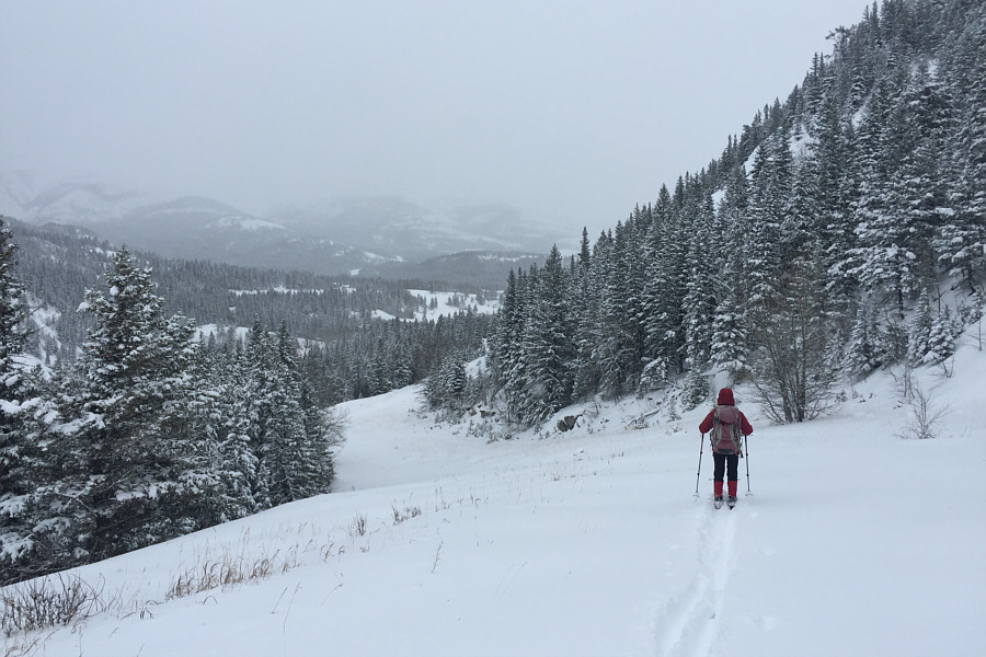 Maybe we should have brought our AT gear...