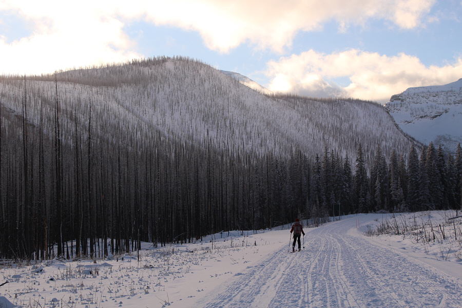 Man, this approach along Akamina Parkway sucks!