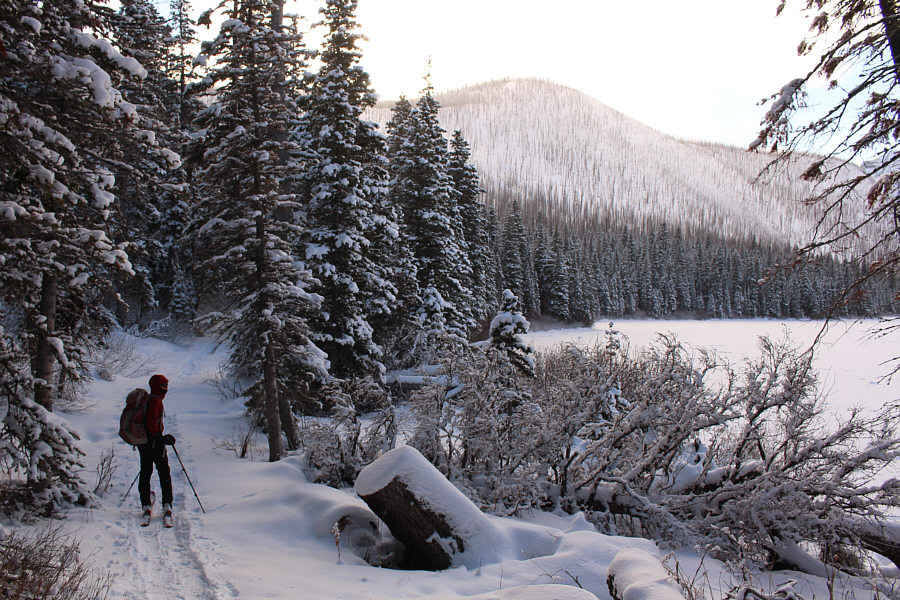 The adventure begins here...