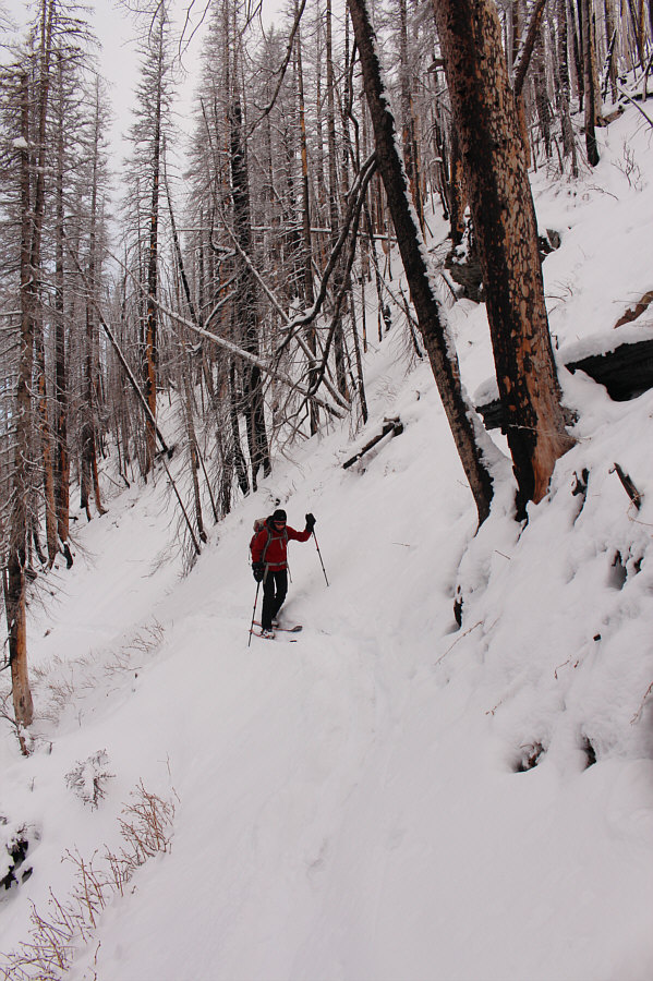 Lousy snowshoers didn't even break trail all the way up for us!