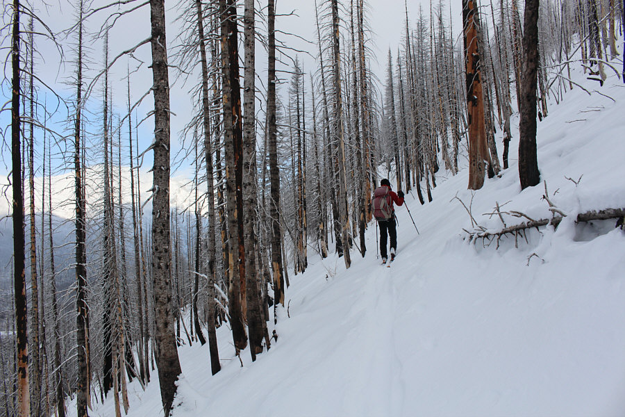 Zosia was out of her comfort zone here, but she's a real trooper.