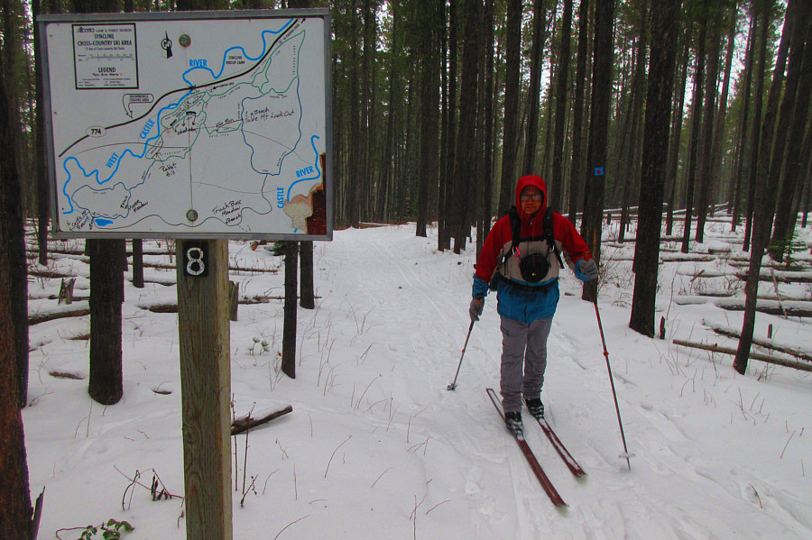 If the map hasn't been chewed by critters!