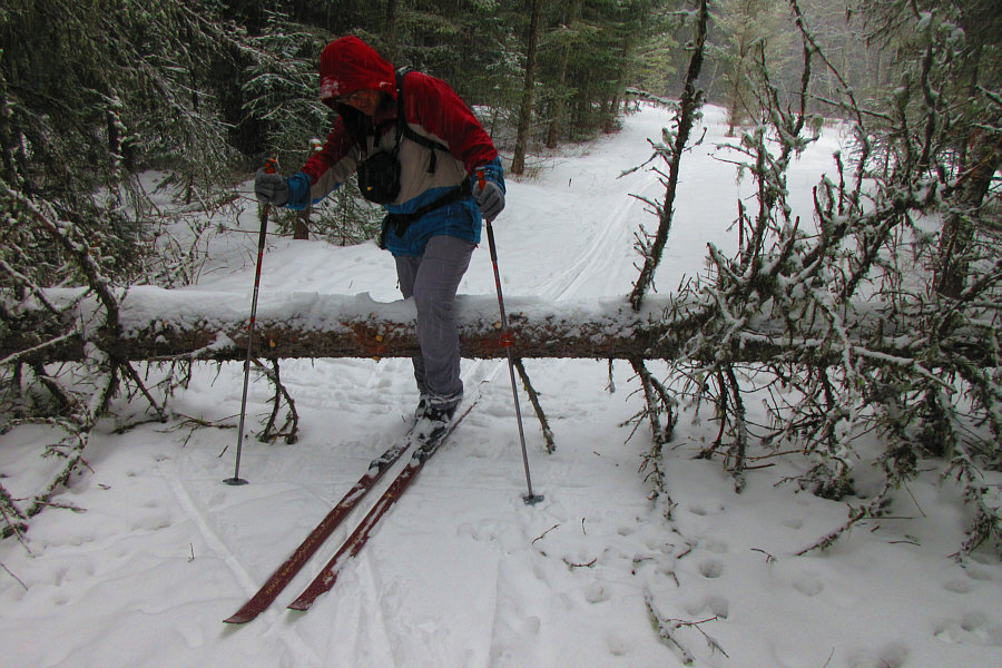 Anyone have a chainsaw?