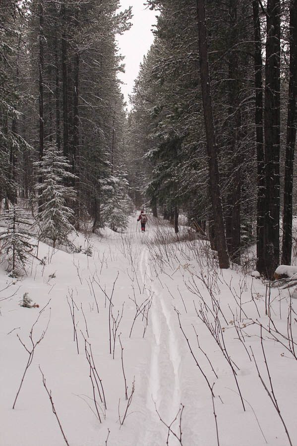Definitely feels like backcountry skiing here!