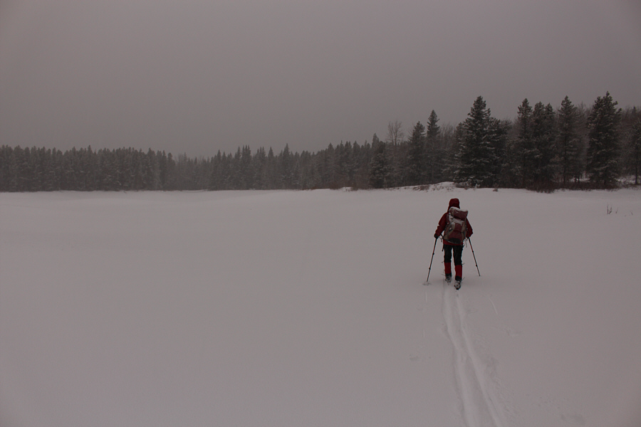 This is as good as it gets on a snowy day!