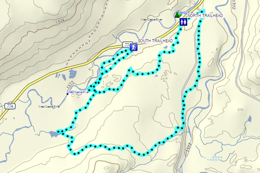 Hey, it's free to ski here!