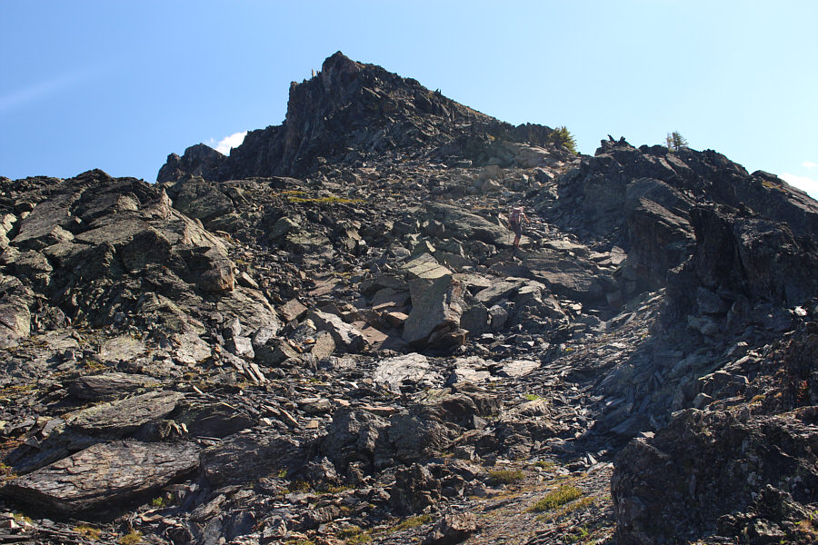 Chasing after the goats!