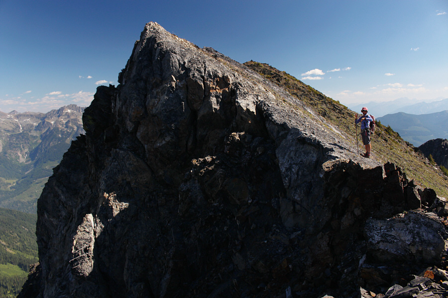 The goats have vanished into thin air!