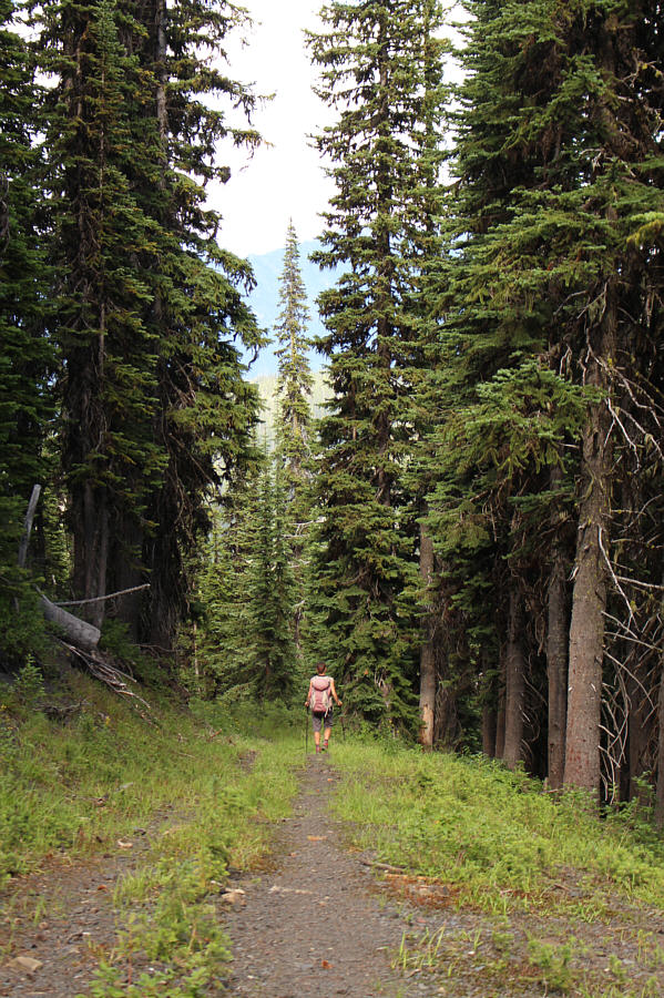 Just a lot of steep downhill walking from here.