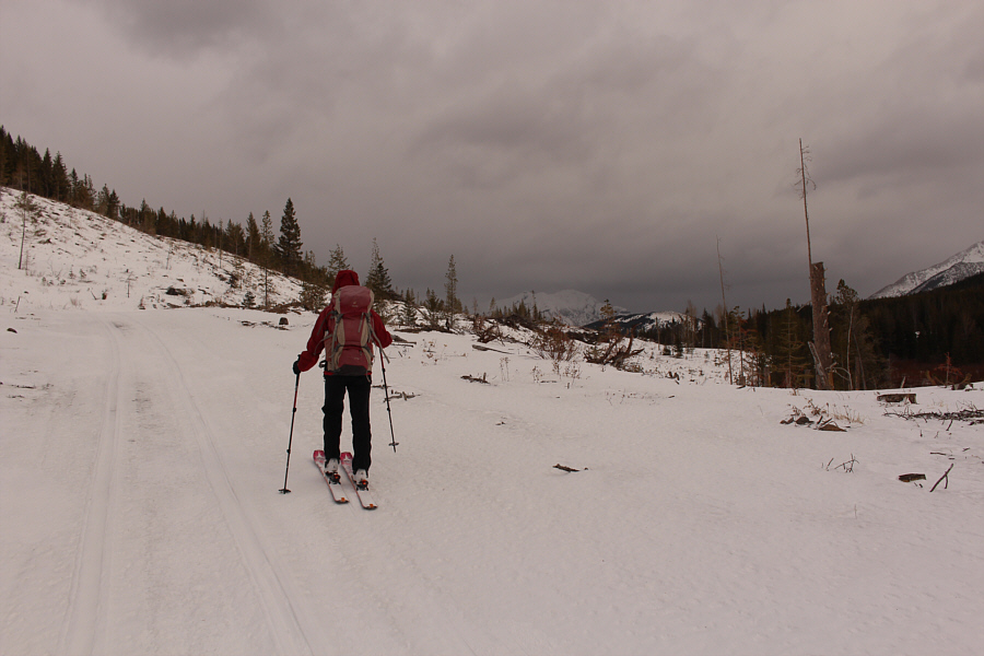 Cross-country skis would have worked much better here!