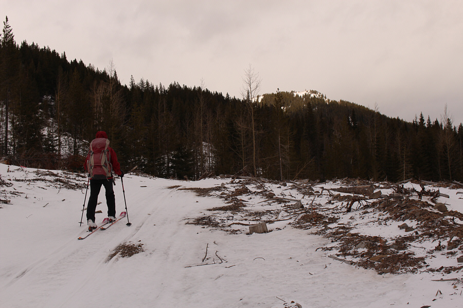 Looks like better snow up there than down here!