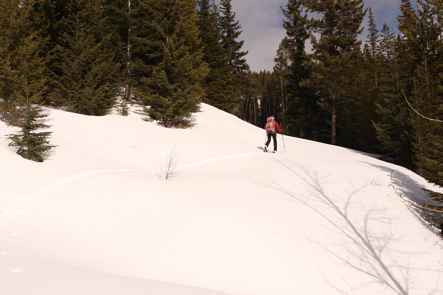 No worries...this route sorta works too!