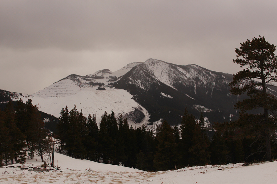 Tent Mountain was my backup plan in case things didn't work out for Trail Hill.