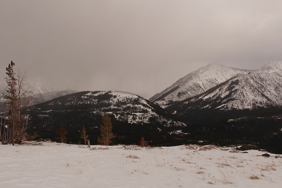If you have a sharp eye, you can also make out the tower on Crowsnest Ridge just behind Island Ridge.