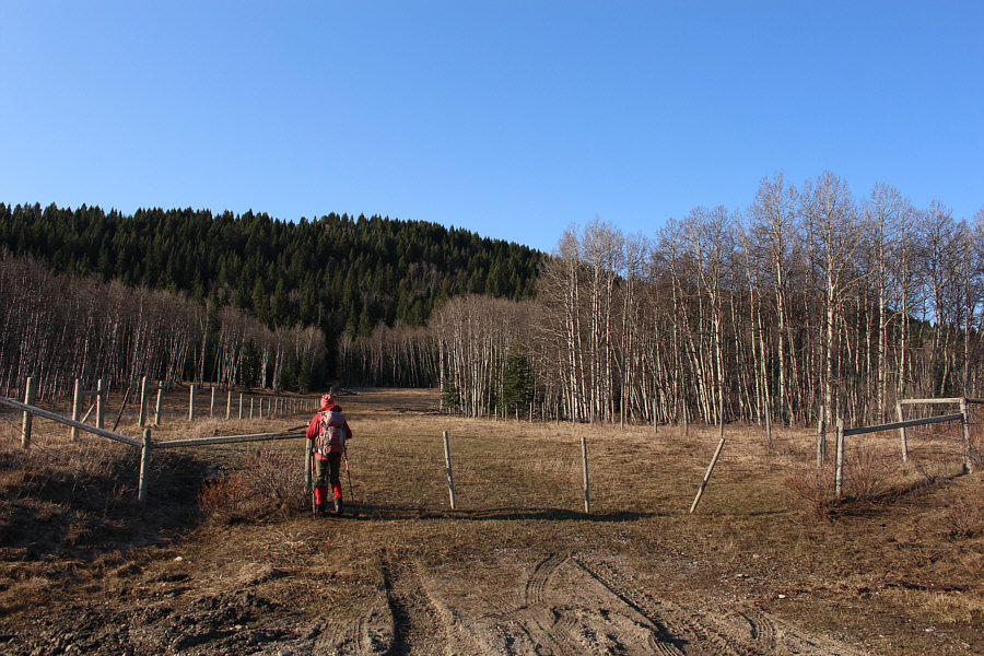 This gate has a latch. Yay!