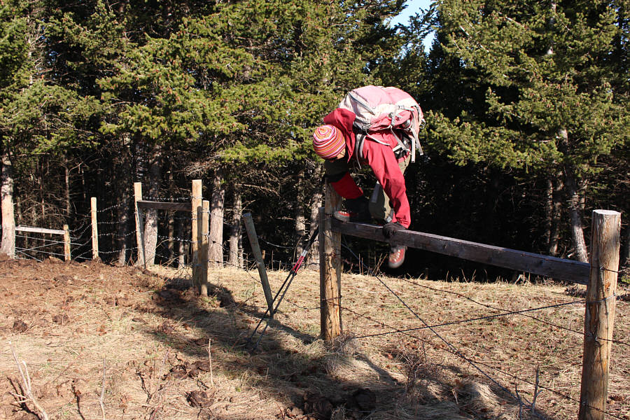 For a public land, there sure are a lot of darned barbed wire fences here!