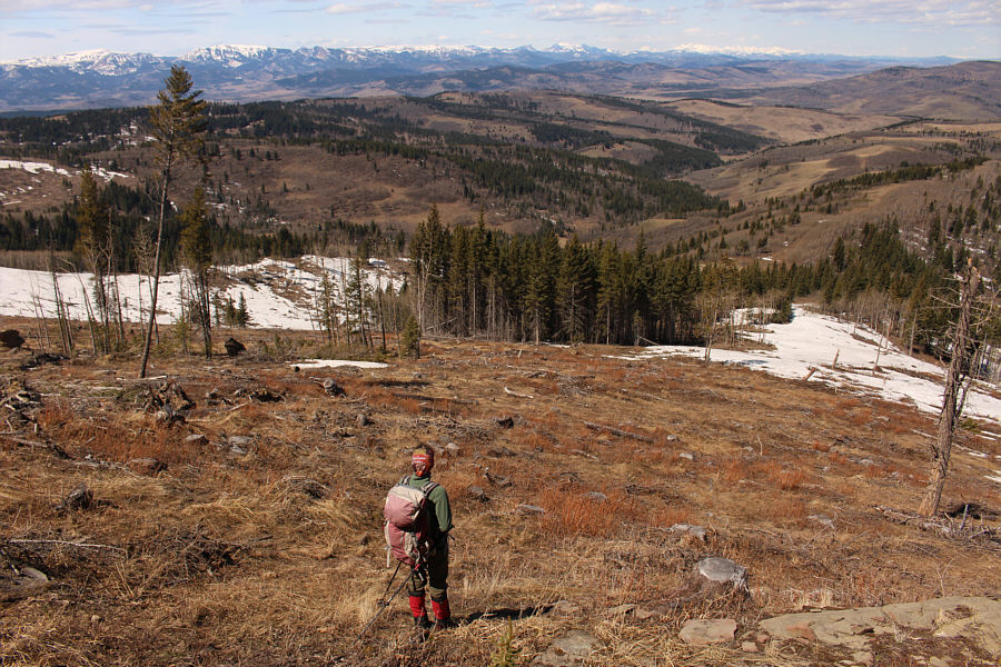 It's a great return route except for the very end!