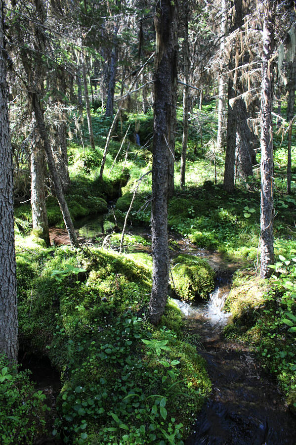Watch where you step; some idiot left a pile of poop with toilet paper on top not far from the lakeshore trail.