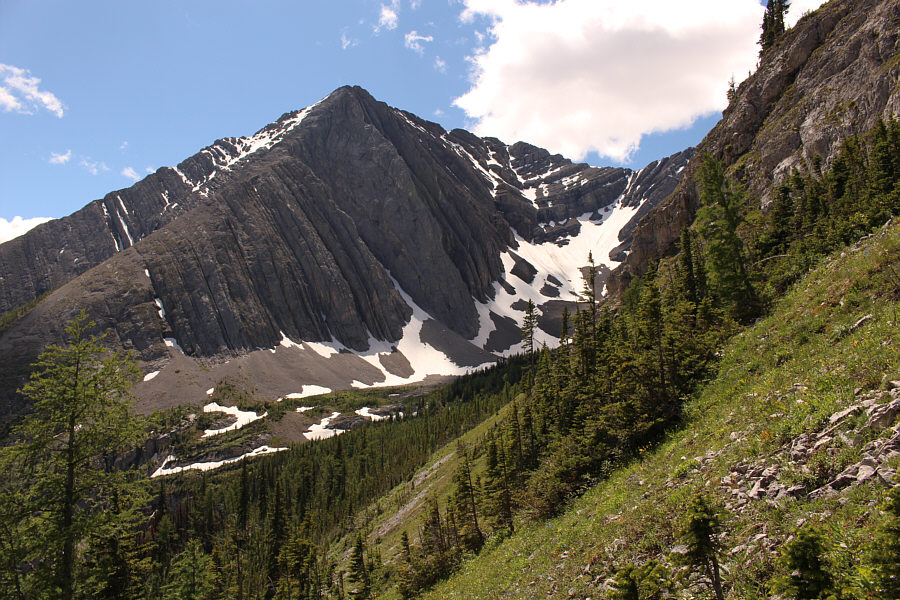 Wow. 17 years have passed since I climbed Mount Fox!