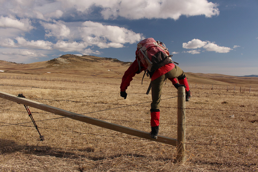 She's getting good at this!