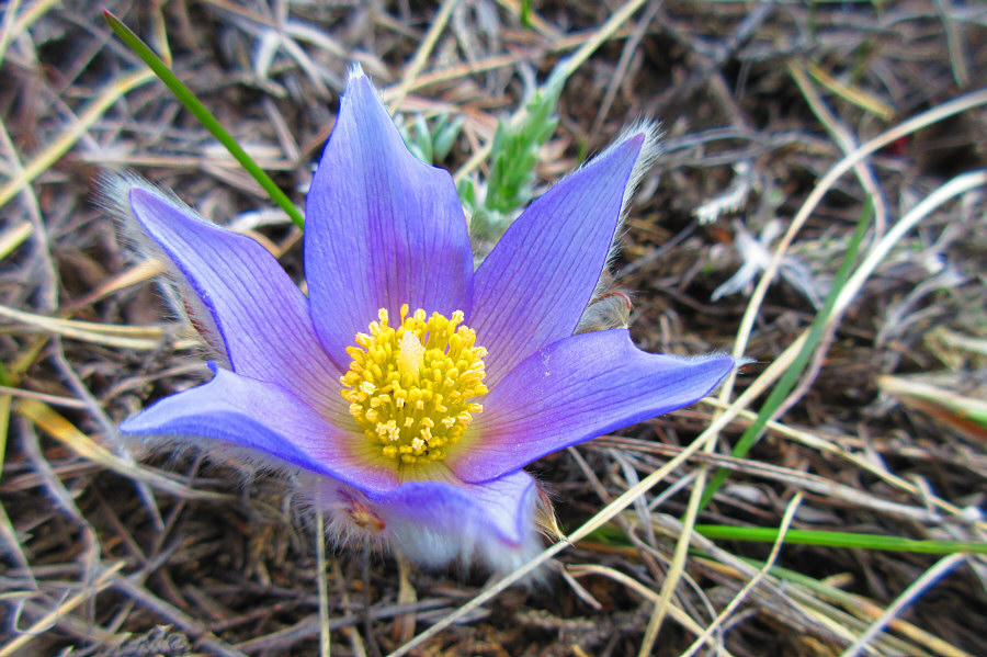 Sadly, ski season is over!