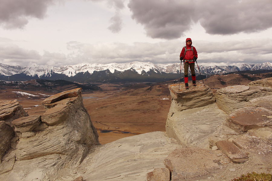 Strangely, the cows shit everywhere except on the hoodoos!