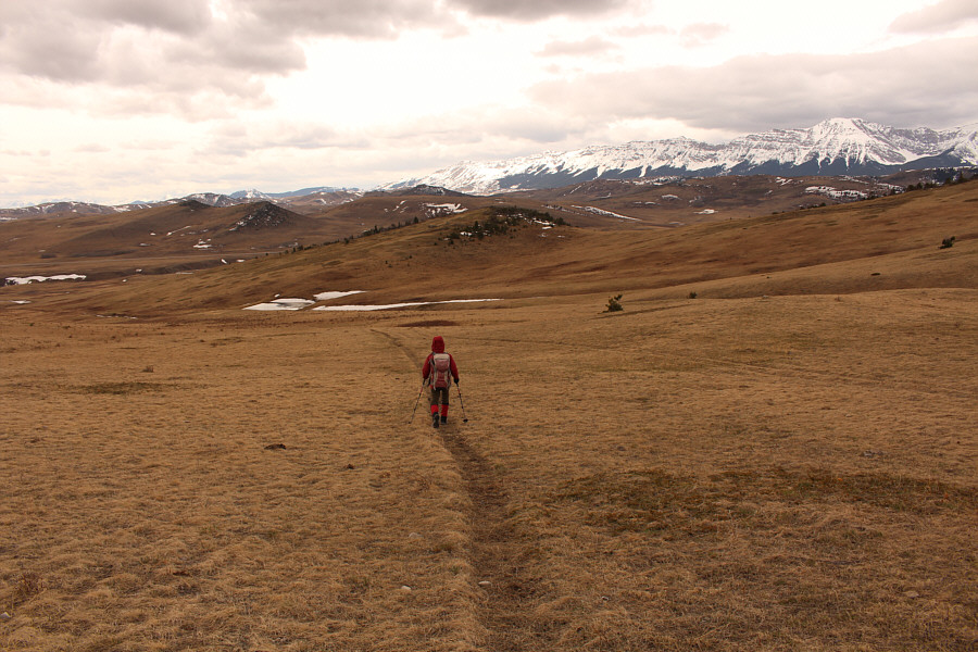 Apparently, this is where all the cows go too!