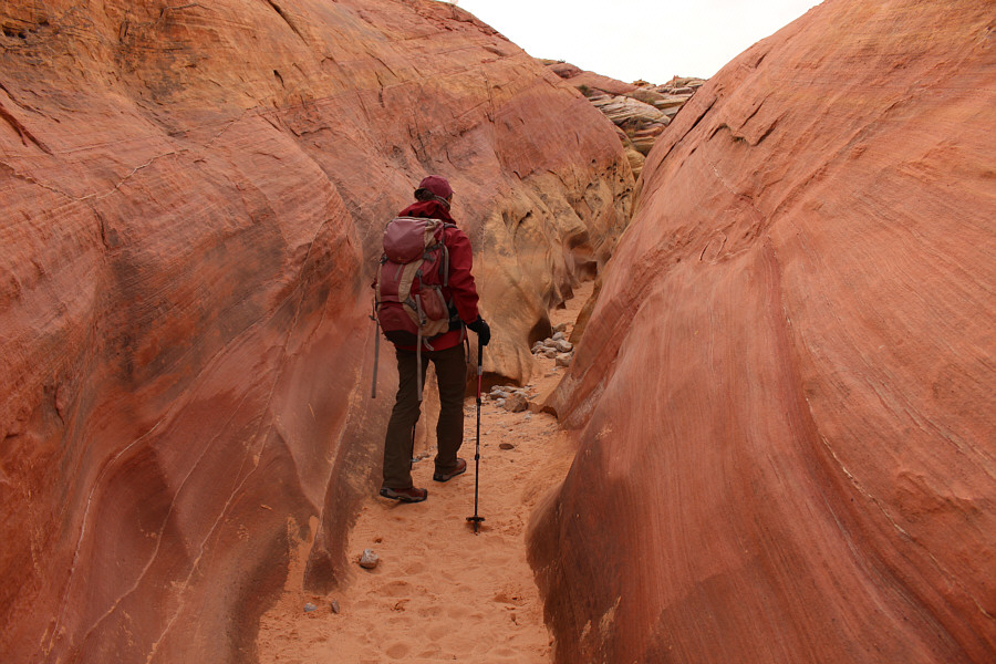 Orange you glad you came here?
