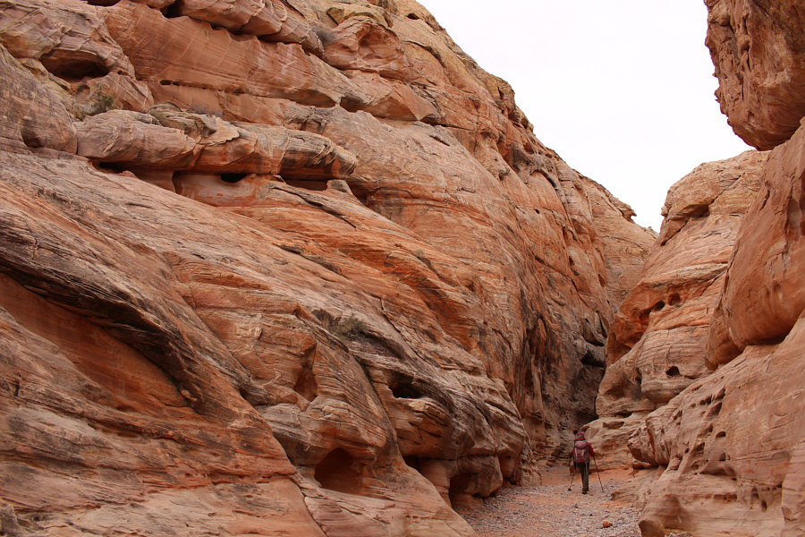 This was my first time walking through here.