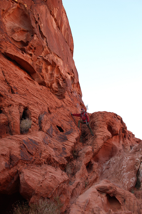 More interesting than the "tank" itself!