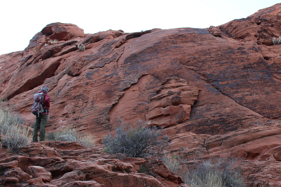 We didn't even notice these on the way in!