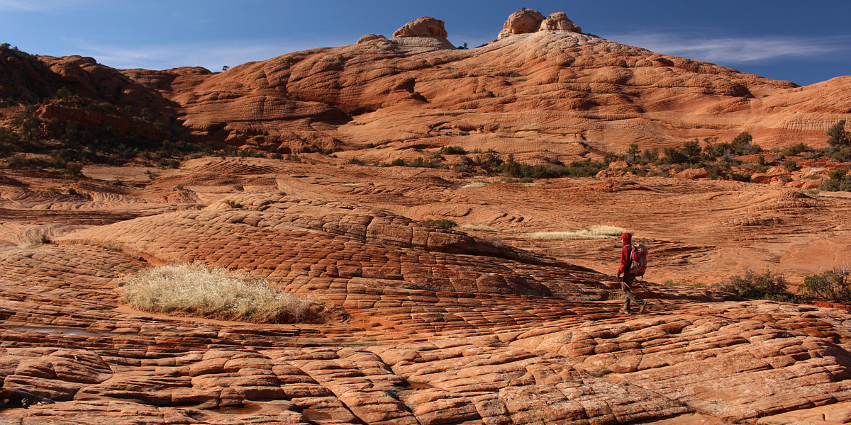 They look like dragon scales...perhaps Smaug?