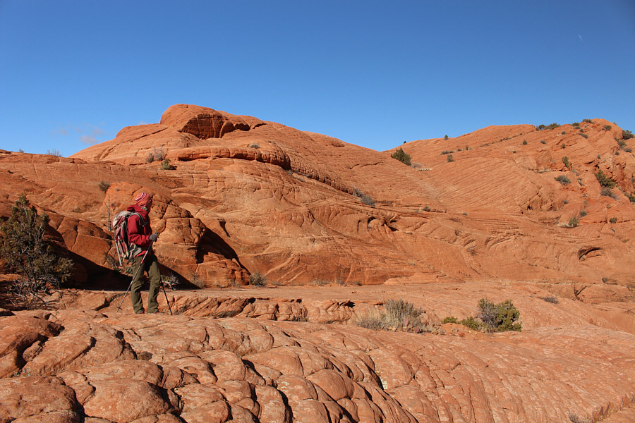 We'll be back in a bit...