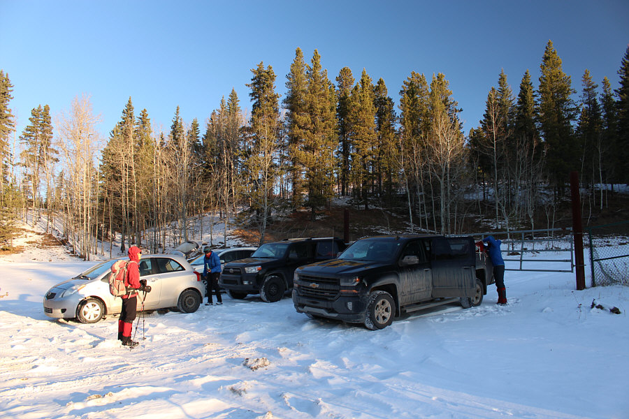 The new norm in the era of COVID-19.