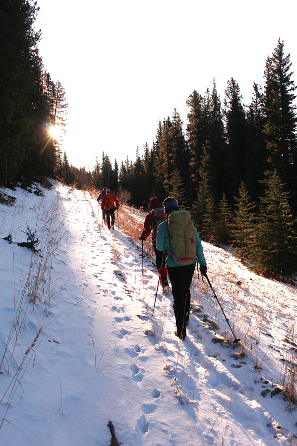 I can't keep up with everyone!