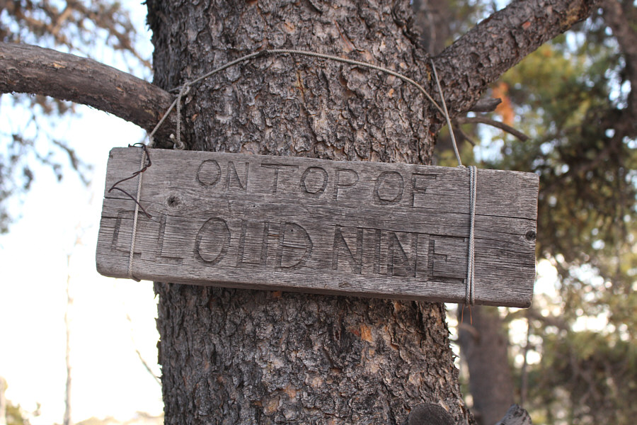 What's so euphoric about this place?