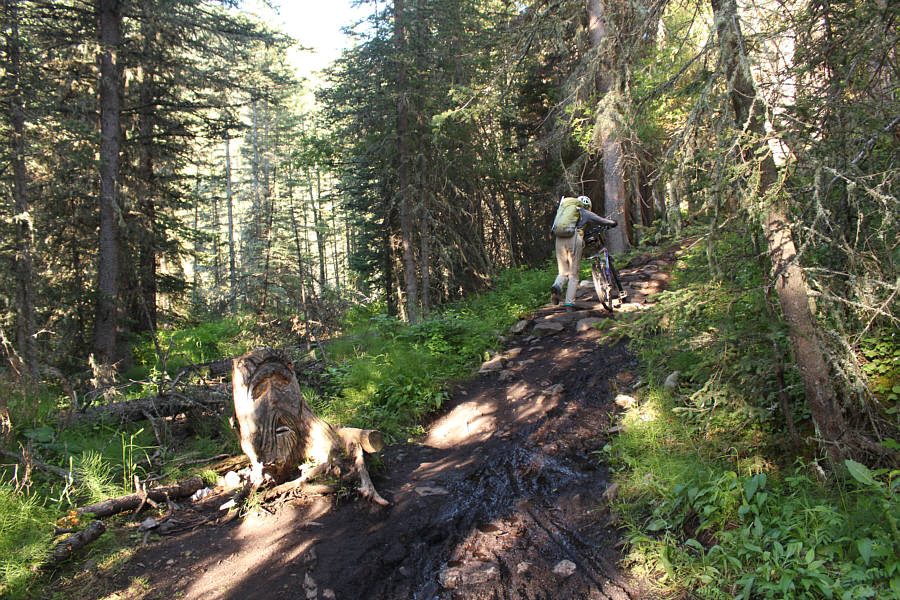 Thankfully, most of the approach can be ridden.