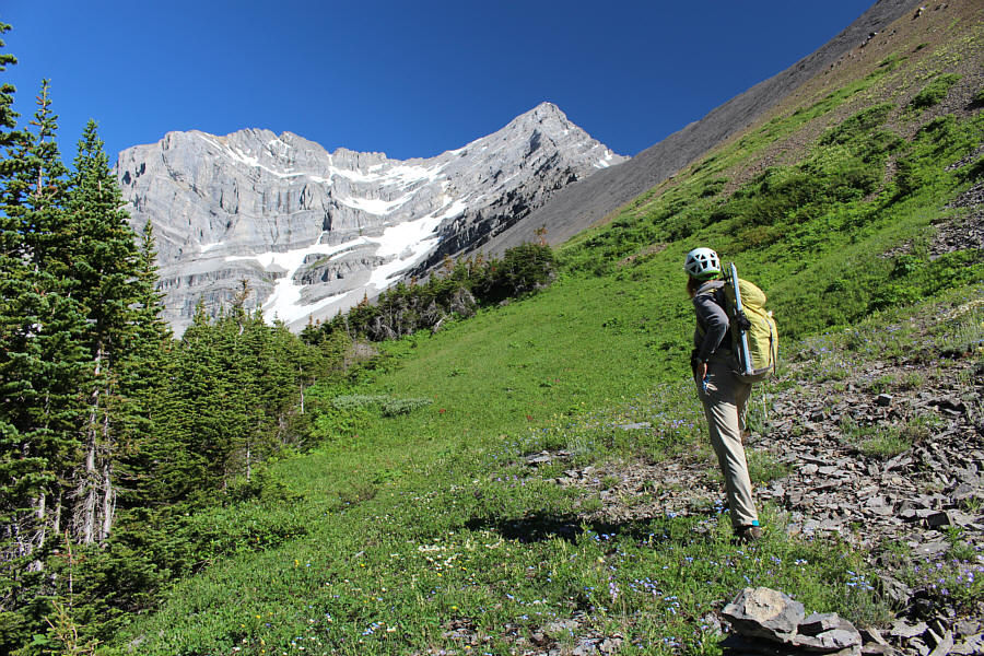 Hmmm...still a lot of snow on the route!
