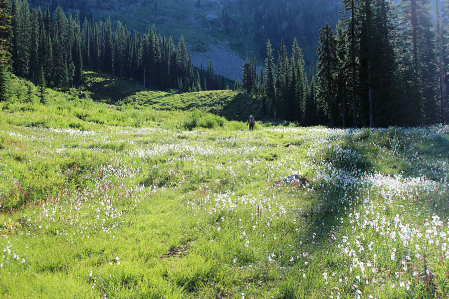 Crap! My hiking shoes are wet already!