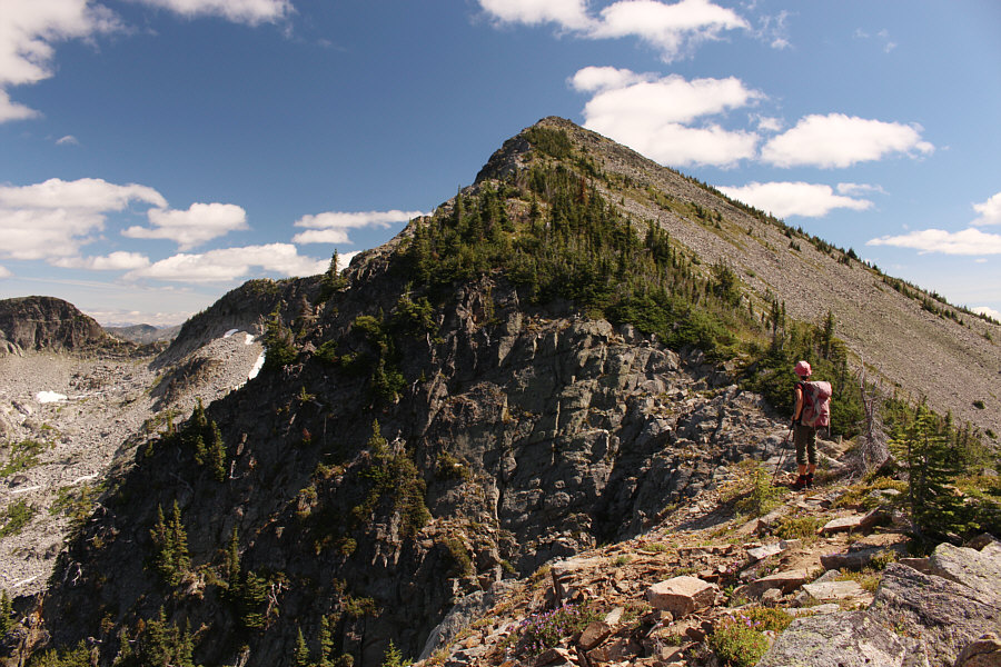 Still some climbing left...