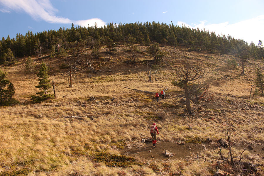 Here we go (up) again!