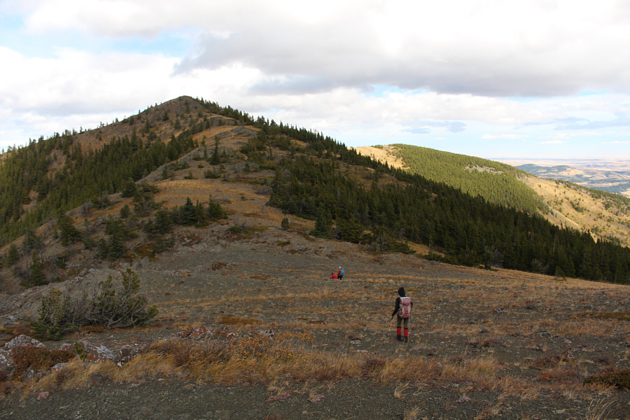 And that's Top 5 in the distance to the right.