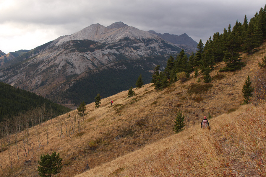 Put it on cruise control here!