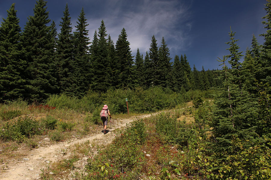 Off to a good albeit late start!