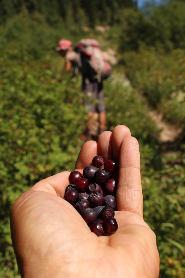 Probably easily doubled our round-trip time!