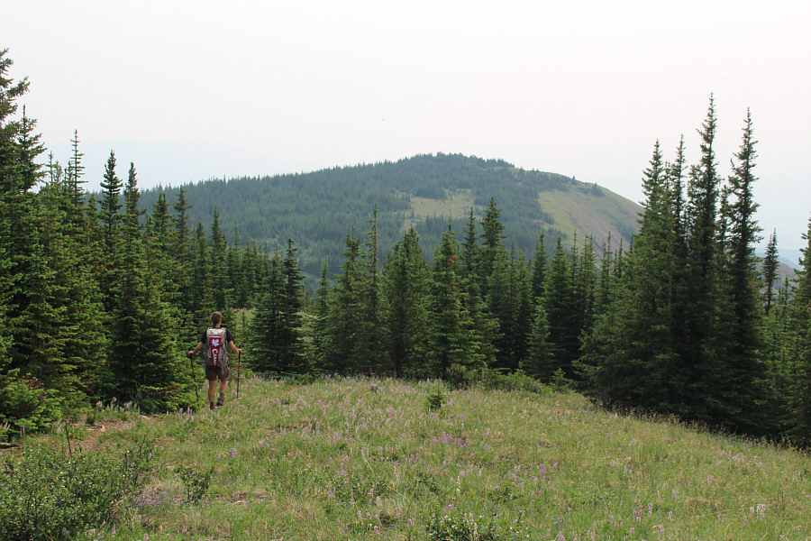 It's definitely lower...definitely!