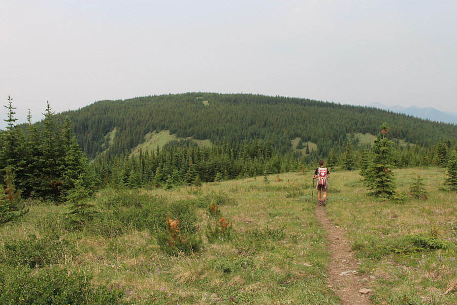 Doesn't look like much from here!