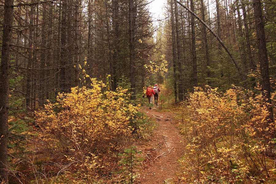 A good time to socialize or meditate...