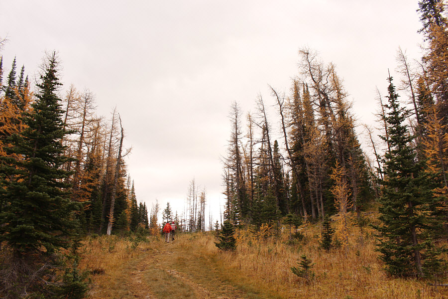 Very boggy and icy here--waterproof boots and maybe ice cleats needed!